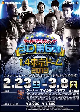 ワールドプロレスリング3D 第6弾 1.4東京ドーム 2013海报剧照