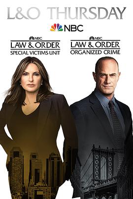 法律与秩序：组织犯罪第二季海报剧照