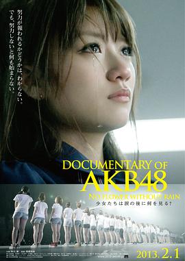 AKB48心程纪实3：少女眼泪的背后海报剧照